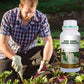 🌱 BUY 2 GET 1 FREE! ✨ Rooting & Seedling Strengthener - Boosts Growth & Resilience, Natural Formula for Healthier Plants 🪴🔬