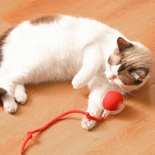 🎉 2026 Sale — Over 19,000 Sold! 🐾 Smart Automatic Rolling Pet Ball – Obstacle Avoidance, Quick Charge – Keeps Cats & Dogs Entertained Without You! ✨