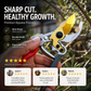 ✂️ LIMITED-TIME 50% OFF 🌿 SK5 Heavy-Duty Pruning Shears — Cleaner Cuts for Everyday Garden