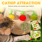 🐱 BUY 2 GET 1 FREE! 🎉 Interactive Catnip Toy – Fruit-Shaped, Dangling String & Exciting Aroma 📦