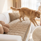 🐾 50% OFF NOW! 🛋️ Pet-Friendly Sofa Cushions – Non-Slip, Scratch-Resistant & Ultra-Soft 🎁