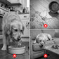🐶 50% OFF NOW!🐾 Roll-N-Lick Dog Bowl – Rolling Ball Slow Feeder – Anti-Gulping & Mental Stimulation – Safe ABS Treat Dispenser 🥣