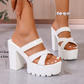 👡 50% OFF NOW! 💃 Women's Chunky Heel Platform Slide Sandals – High Platform, Criss-Cross Straps & Lugged Outsole ✨