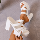 👡 50% OFF NOW! 💃 Women's Chunky Heel Platform Slide Sandals – High Platform, Criss-Cross Straps & Lugged Outsole ✨