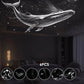 🔭 50% OFF NOW! ✨ Starry Sky Projector – 2-in-1 Galaxy Light & Warm Night Lamp – USB Powered & Interchangeable Films 🌌