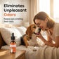 🐶 50% OFF NOW!✨ Gentle Dog Ear Drops – Wax & Odor Remover – Soothing Formula – Daily Ear Care for Pets 🐾