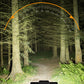 🚴 LIMITED‑TIME 50% OFF!✨Bicycle Headlight – 28 LED, Built‑in Horn, USB Rechargeable, Wired Remote Control 🔦