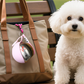 🎉 2026 Sale — Over 19,000 Sold! 🐾 2-in-1 Portable Dog Water Bottle – Flips Open to a Bowl, Leak-Proof Stainless Steel – Hydration on the Go! ✨