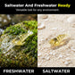 ⭐ DON'T MISS 50% OFF 🐟 Trigger Aggressive Strikes — Lifelike Details Attract Predators