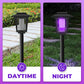 🌿 50% OFF NOW!⚡ Solar Bug Zapper Outdoor – Dual-Light & Auto On/Off – Eco-Friendly Mosquito Killer 🦟