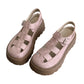 👡 50% OFF NOW! ☀️ Women's Platform Chunky Sandals – Cushioned Footbed & Anti-Slip Sole – Stylish, Comfy & Breathable 🏖️