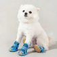 🔥 LAST DAY SPECIAL 50% OFF! ⚡ Lightweight Mesh Anti-Slip Pet Dog Boots – Breathable Summer Sandals, All Terrain Use 🐶
