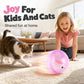 🎉 2026 HOT SALE — 50K+ Sold! 💖 Interactive Plush Rolling Ball – Playtime Magic for Kids & Cats 🐱
