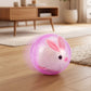 🎉 2026 HOT SALE — 50K+ Sold! 💖 Interactive Plush Rolling Ball – Playtime Magic for Kids & Cats 🐱