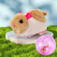 🎉 2026 HOT SALE — 50K+ Sold! 💖 Interactive Plush Rolling Ball – Playtime Magic for Kids & Cats 🐱