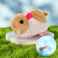 🎉 2026 HOT SALE — 50K+ Sold! 💖 Interactive Plush Rolling Ball – Playtime Magic for Kids & Cats 🐱