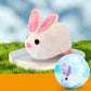 🎉 2026 HOT SALE — 50K+ Sold! 💖 Interactive Plush Rolling Ball – Playtime Magic for Kids & Cats 🐱