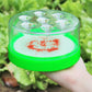 🎉 2026 Sale — Over 31,800 Sold! 🪰 Non-Electric Fly Trap – Chemical-Free Catch & Release 🌿