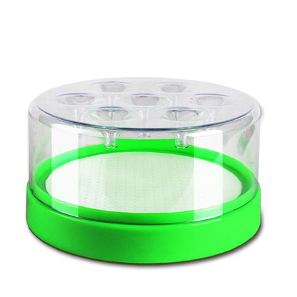 🎉 2026 Sale — Over 31,800 Sold! 🪰 Non-Electric Fly Trap – Chemical-Free Catch & Release 🌿