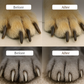 🎉 2026 Sale — Over 27,000 Sold! 🐾 Pet Nail Clippers with LED Light – See the Quick, Never Cut Too Short! ✨