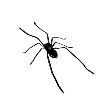 🎉 2026 Sale — Over 8,000 Sold! 🕷️ Realistic Spider Magnets – Trick or Treat Your Fridge, Garage & Car — Halloween Fun All Year! 🏠