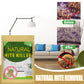 🎉 2026 Sale — Over 29,000 Sold! 🌿 Drop It, Forget It – 90 Days Mite-Free, No Harmful Chemicals, Safe for Your Family! 🛏️