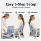 🎉2026 Sale｜FREE SHIPPING! Over 47,000 Sold! Ergonomic Memory Foam Seat Cushion Relieves Back Pain