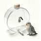 🎉 2026 Sale — Over 6,000 Sold! 🐦 Clear Hanging Bird Drinker – Touch-Activated Copper Nozzle, 250ml Capacity – Fresh Water at a Glance! ✨