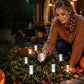 🎉 2026 Sale — Over 35,000 Sold! ☀️ Solar Bubble Crystal Pathway Stake Lights – No Wiring, No Electricity Cost – Magical Garden Lighting! ✨