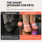 🤯Protect Dog Paws On Walks!⚡50% OFF Limited‑Time｜Stylish LED Dog Boots For Night Visibility 🐶