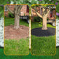 🏡🔥FLASH SALE Half‑Price! No‑Dig Landscape Edging Roll, Weather‑Resistant Garden Lawn Border 🎁