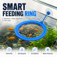🐟 LIMITED-TIME BOGO 🎁 Floating Fish Feeding Ring — Suction Cup, Precision Feeding Zone