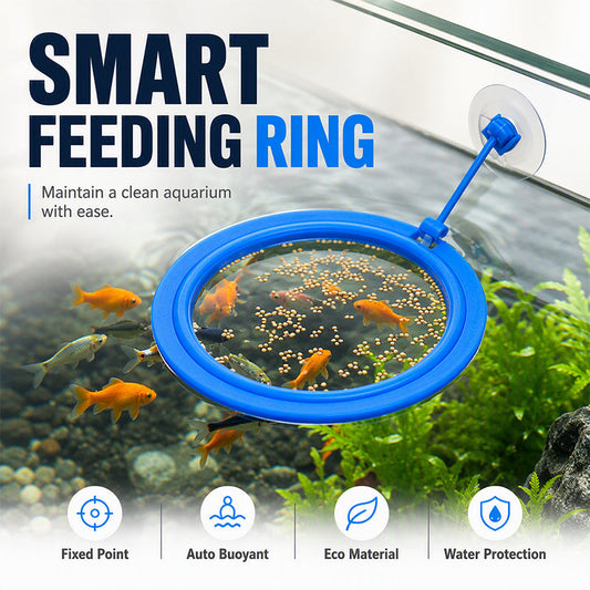 🐟 LIMITED-TIME BOGO 🎁 Floating Fish Feeding Ring — Suction Cup, Precision Feeding Zone