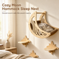 🐱 LIMITED-TIME 50% OFF 🌙 Wall-Mounted Cat Climbing Frame — 3 Steps, Moon Hammock, Sisal Mat, Solid Wood