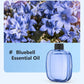 🌸 LIMITED-TIME 50% OFF ✨ Automatic Aromatherapy Diffuser — Timed Spraying & Smart Display