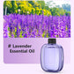 🌸 LIMITED-TIME 50% OFF ✨ Automatic Aromatherapy Diffuser — Timed Spraying & Smart Display