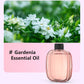 🌸 LIMITED-TIME 50% OFF ✨ Automatic Aromatherapy Diffuser — Timed Spraying & Smart Display