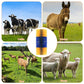 🐄 LIMITED-TIME 50% OFF 🐎 Relieves Insect Bites & Itching — Comfort for Your Animals
