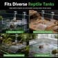 🐢 LIMITED-TIME 50% OFF! ☀️ Hanging Turtle Basking Platform – Clear Acrylic, Non-slip Ramp, Adjustable Mount ✨