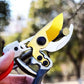 ✂️ LIMITED-TIME 50% OFF 🌿 SK5 Heavy-Duty Pruning Shears — Cleaner Cuts for Everyday Garden