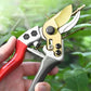 ✂️ LIMITED-TIME 50% OFF 🌿 SK5 Heavy-Duty Pruning Shears — Cleaner Cuts for Everyday Garden