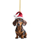 🐶 LIMITED-TIME 50% OFF 🎒 Hang It on Bags, Keys, Cars or Trees — Versatile Decor