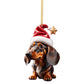 🐶 LIMITED-TIME 50% OFF 🎒 Hang It on Bags, Keys, Cars or Trees — Versatile Decor
